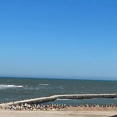 Ale's Place 11 Constanta